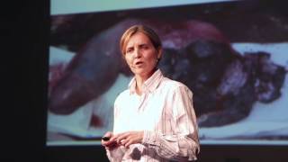 Fishy Marine Objects: The Legacy of a Generation of Plastic | Silvia Frey | TEDxYouth@Zurich
