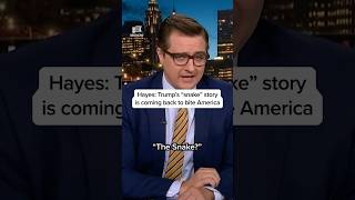 Hayes: Trump’s 'snake' story is coming back to bite America