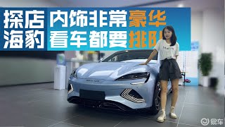 探店实拍海豹，预售价21.28万起 运动又豪华 选它还是选Model 3？