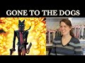 Comics have GONE to the DOGS | Stray Dogs, Pizza Dog, Bitewing, Krypto, Good Dog