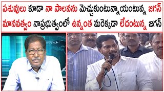 పశువులుకూడా నాపాలనను మెచ్చుకుంటున్నాయంటున్నజగన్ మానవత్వం నాప్రభుత్వంలోఉన్నంతమరెక్కడా లేదంటున్నజగన్