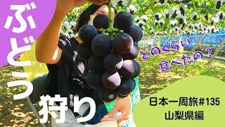 【日本一周旅#135】フルーツ王国山梨県でぶどう狩り！富士吉田の名物吉田のうどんも食べちゃいます【38/47都道府県　山梨県編】