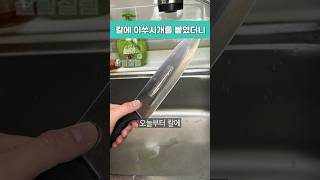 주방칼에 이쑤시개를 붙여 사용 해보세요! #shorts