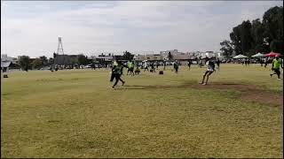 Highlanders y Cats VID 20240128 WA0062