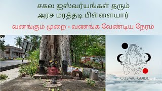 Cosmic Guide - Tamil - அரச மரத்தடி பிள்ளையார் / வனங்கும் முறை / வணங்க வேண்டிய நேரம்