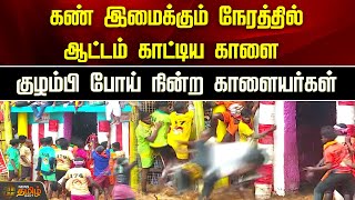 கண் இமைக்கும் நேரத்தில் ஆட்டம் காட்டிய காளை... குழம்பி போய் நின்ற காளையர்கள்  | Palamedu Jallikattu