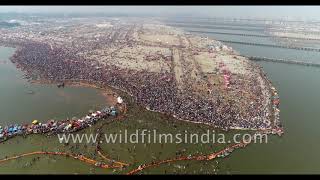 Best of India, best of wildfilmsindia MUST SEE Cannes 4K showreel