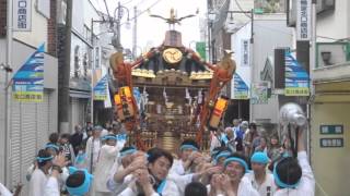 平成28年　小田原・下府中三社（浅間・神明・賀茂）合同祭　神輿【激走＆甚句】