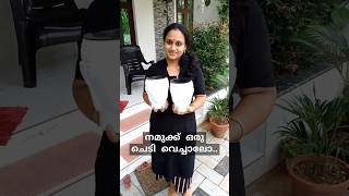 നമുക്ക് ഒരു ചെടി വെച്ചാലോ...|Monday vibes | @Navaneethamvibes