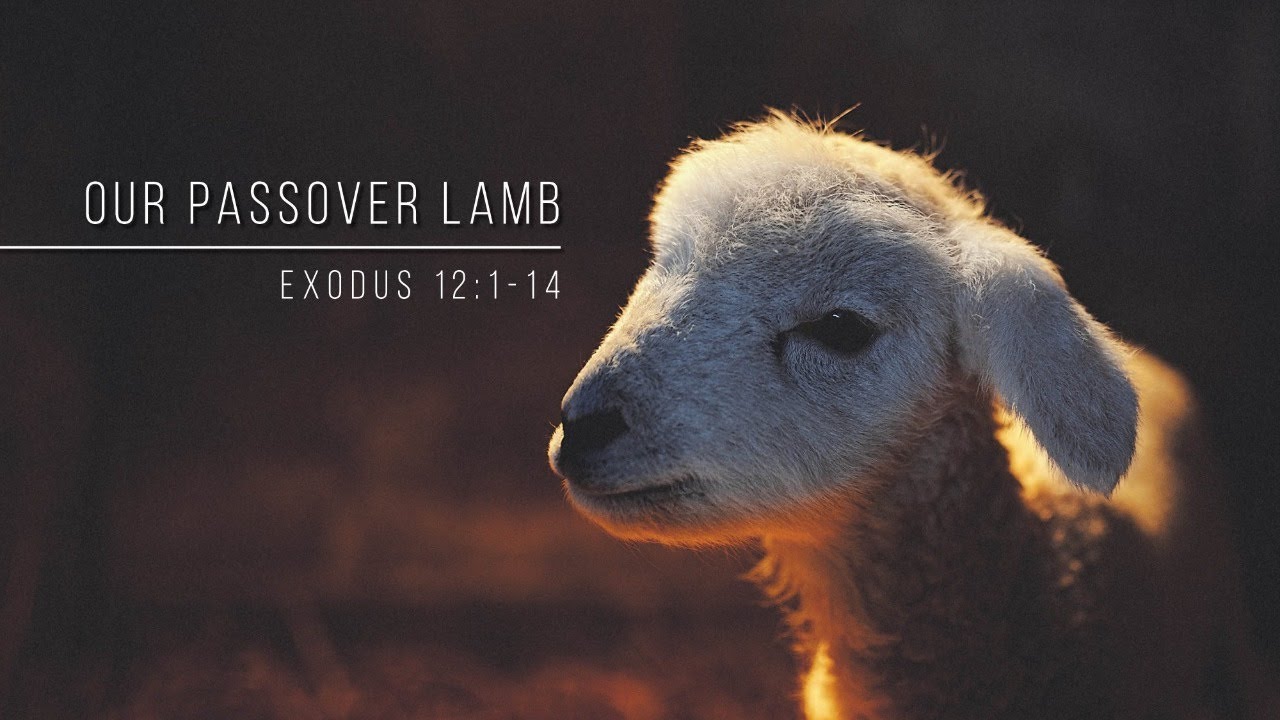 Passover Lamb Exodus