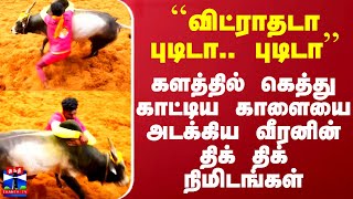 ``விட்ராதடா புடிடா.. புடிடா'' - களத்தில் கெத்து காட்டிய காளையை அடக்கிய வீரனின் திக் திக் நிமிடங்கள்