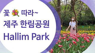 #제주한림공원 랜선여행!! 하나하나 자세히 같이 산책해 볼까요? ⚘️🌱🌴 #Hallim_park 최고의 #힐링공원 #한림공원 🌷🌳🌲 #제주국제학교 #한국어선생님 #제주대 #한국어