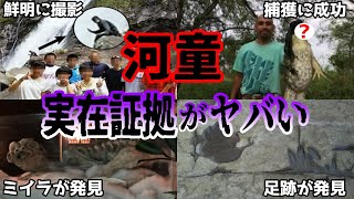 【ゆっくり解説】撮影された映像に世界が震えた…河童（カッパ）実在の恐るべき証拠について