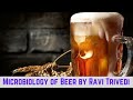 Microbiology of Beer