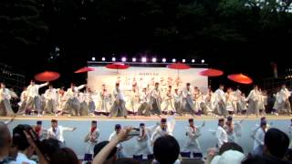 しん　大賞受賞演舞　スーパーよさこい原宿元氣祭2013