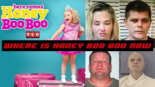 The Downfall of 'Here Comes Honey Boo Boo' and Where Are They Now??