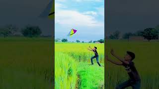 Cutting Kite Catch | #kite #kiteflying #kitecatching #shorts #patang #kitelooters #kitefighting