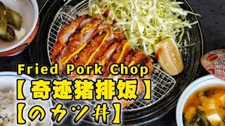 [ENG SUB] Re-engraving the same miracle pork chop rice for lonely gourmets, instantly healed!