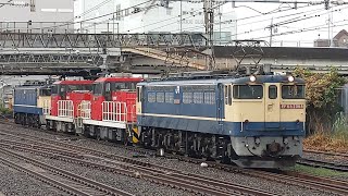 【カオスなジョイント音！】JR貨物 EF65 2068+HD300-7+HD300-901+EF65 2101 新A999仕業[単8582レ] 新鶴見行 馬橋駅通過！[2024.08.30(金)]