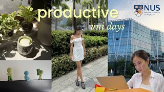 final year NUS student diaries  🎓 how i balance uni, job hunting \u0026 rest