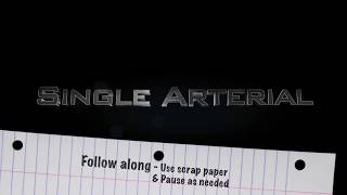 Embalming Math Practice Single Arterial (2)