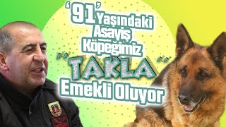 '91' Yaşındaki Asayiş Köpeğimiz TAKLA, Emekli Oluyor