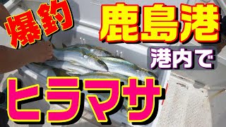 【鹿島港魚釣園 右側の赤ブイ】には、10kgオーバーのヒラマサも付く！爆釣ポイント、鹿島港温排水ポイント、南堤防先端、取水口ポイント、東電排水口など