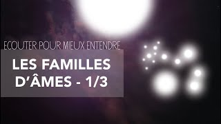 LES FAMILLES D’ÂMES #1: Les âmes sœurs et les âmes jumelles