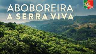 Aboboreira | A Serra Viva - Documentário de Natureza