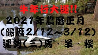 【古柏論命-張古柏】2021年農曆正月(陽曆2/12 ~ 3/12)生肖八字流月運勢分享 (三) 馬、羊、猴