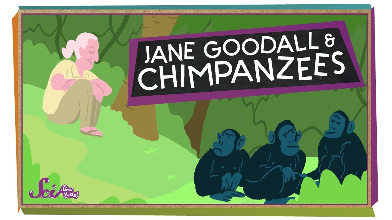 Into The Forest With Jane Goodall Youtube