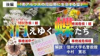 南アルプスの高山帯に生息するチョウ 後半-南アルプスYoutubeカレッジ 11時限目-