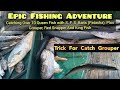 Epic Fishing Adventure Catching many Queen Fish with  S.F.S Bait (Patasha)+grouper,snaper,king fish