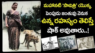 మహానటి ‘సావిత్రి’ యొక్క పెంపుడు జంతువు వెనుక ఉన్న రహస్యం తెలిస్తే షాక్ అవుతారు..! Mahanati Savitri