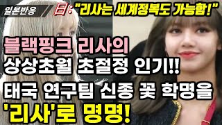 |일본반응| 블랙핑크 리사의 상상초월 초절정 인기!! 태국 연구팀, 자신들이 발견한 신종 꽃 학명을 '라리사'로 명명!