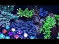 Orphek Atlantik V4 The Best LED Aquarium Lighting