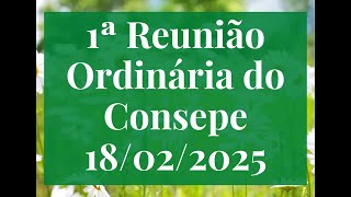 Consepe - 1ª reunião ordinária do Consepe - 18/02/2025 - Manhã