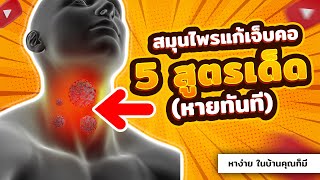 สมุนไพรแก้เจ็บคอ 5 สูตรเด็ด (หายทันที)