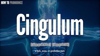 Cingulum Pronunciation | How to Pronounce (say) Cingulum CORRECTLY | Meaning Definition