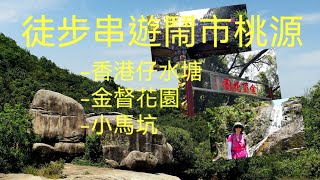 港島輕鬆行山路線｜徒步串遊鬧市桃源｜香港仔水塘｜金夫人徑｜港島徑｜金夫人馳馬徑｜布力徑｜金督馳馬徑｜金督花園｜小馬坑｜柏架山道｜衛奕信徑｜觀音送子｜2022年9月9日