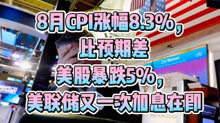 平论｜8月CPI涨幅8.3%比预期差，市场恐慌美股暴跌5%，美联储又一次加息在即！2022-08-13