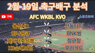 토토분석 스포츠분석 프로토분석 2025년 2월19일 국제축구 AFC 국내농구 KWBL 국내배구 KVO 주요경기분석