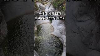 국내에 세계13개 유명다리 축소판이 있는곳~