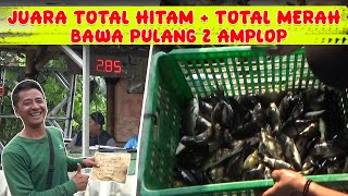 MAIN TOTALAN IKAN TERBANYAK DI PEMANCINGAN MARABUNTA 1 (DONA), MASIH KEBAGIAN AMPLOP !!