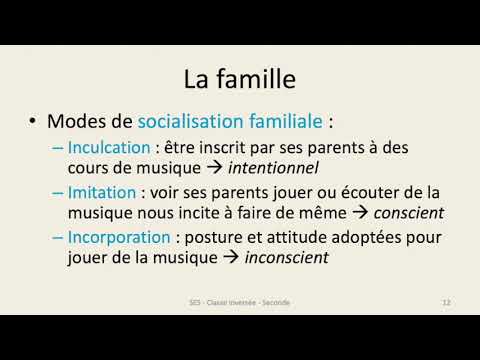 2ES - Comment Devenons-nous Des Acteurs Sociaux - Leçon N°2/4 - YouTube