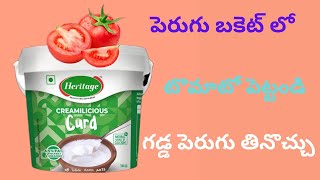 పడేసే వాటితో ఇన్ని ఉపయోగాలు ఉన్నాయి అని తెలుసా 🤷12Usefulhacks|chitkalu|tips \u0026tricks|money savingtips