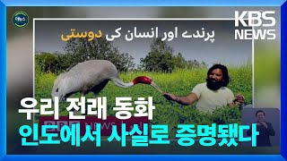 [글로벌K] ‘항상 곁에 있을게요’…큰 두루미의 사연 [지구촌 더뉴스] / KBS  2023.03.22.