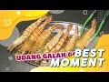 UDANG GALAH Bikin Keringat Makin BERCUCURAN | Best Moment #BikinLaper (16/9/21)