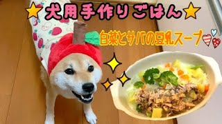 犬用手作りごはん〝白菜とサバの豆乳スープ〟でご機嫌な相棒(*^◯^*)