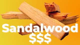 Sandalwood is One of the Most Expensive Woods in the World ($200/KG)